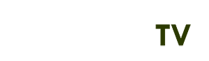 chuyển pdf thành word